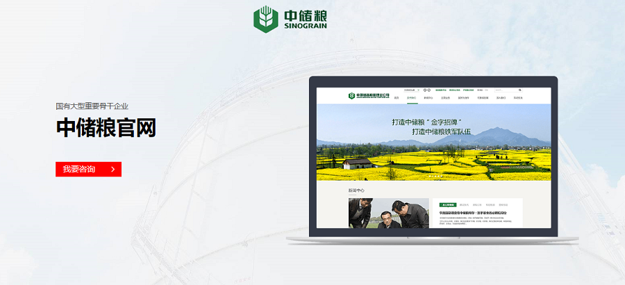 中儲(chǔ)糧官網(wǎng)-新鴻儒案例